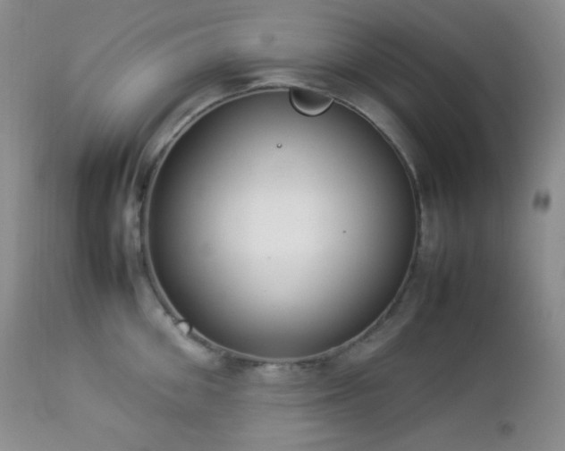 X0000112830906200908211213