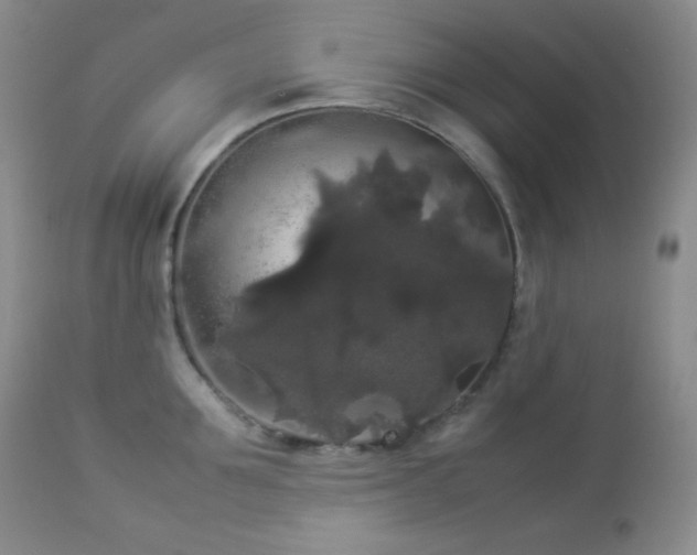 X0000112830907200908211213