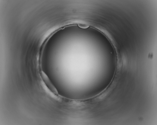 X0000112830910200908211213