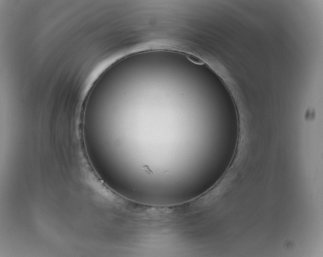 X0000112830912200908211213