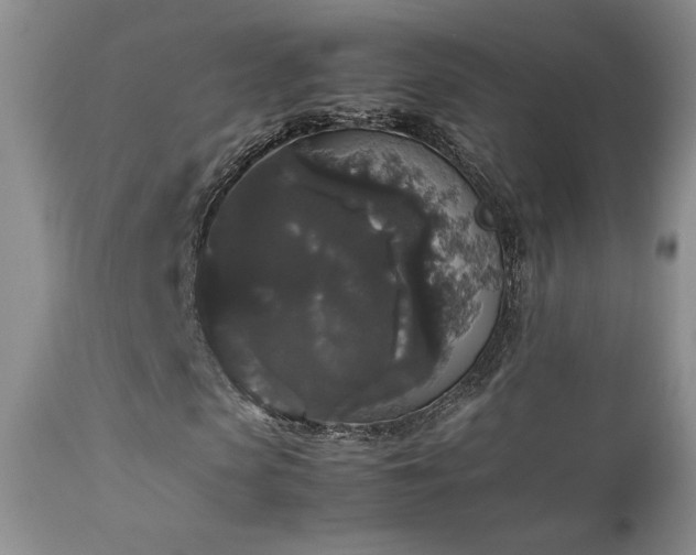 X0000112830913200908211213