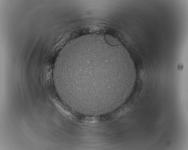 X0000112830914200908211213