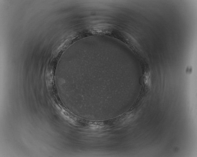 X0000112830915200908211213