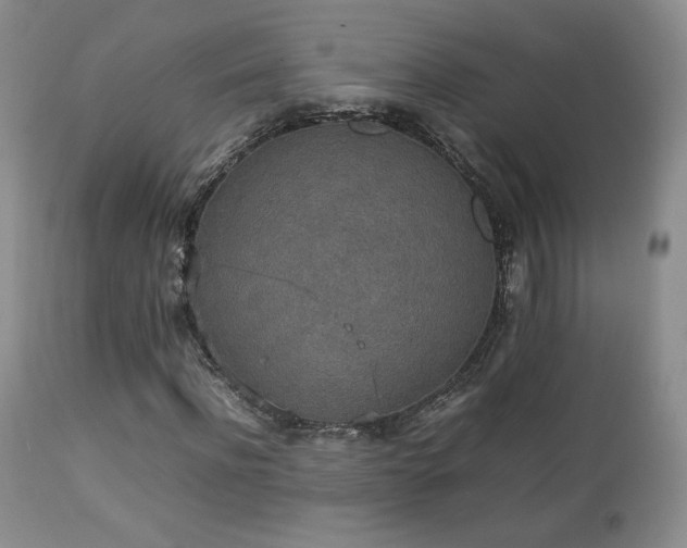 X0000112830916200908211213