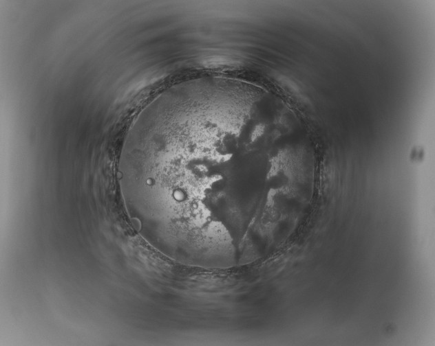 X0000112830917200908211213