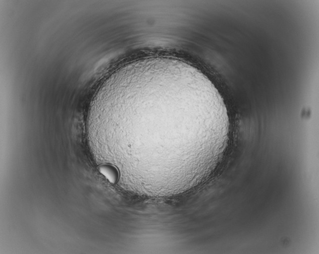 X0000112830918200908211213