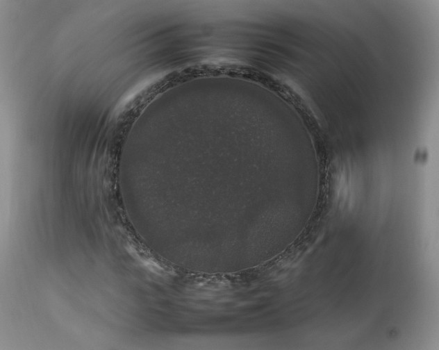 X0000112830919200908211213