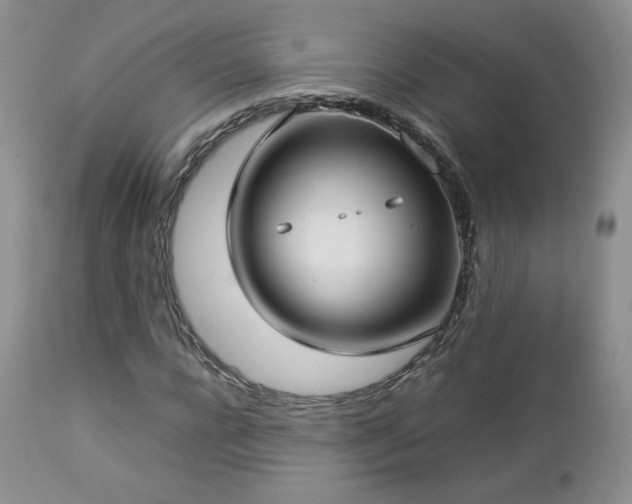 X0000112830920200908211213