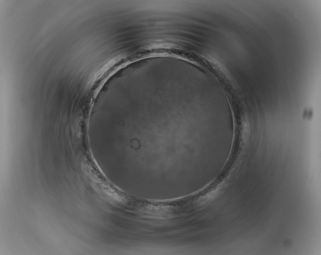 X0000112830921200908211213