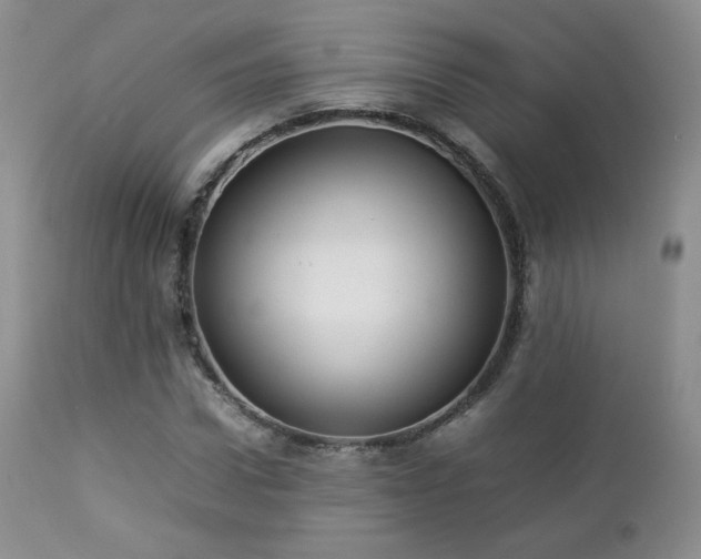 X0000112830922200908211213