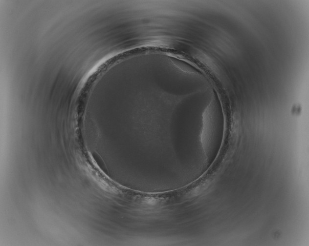 X0000112830923200908211213