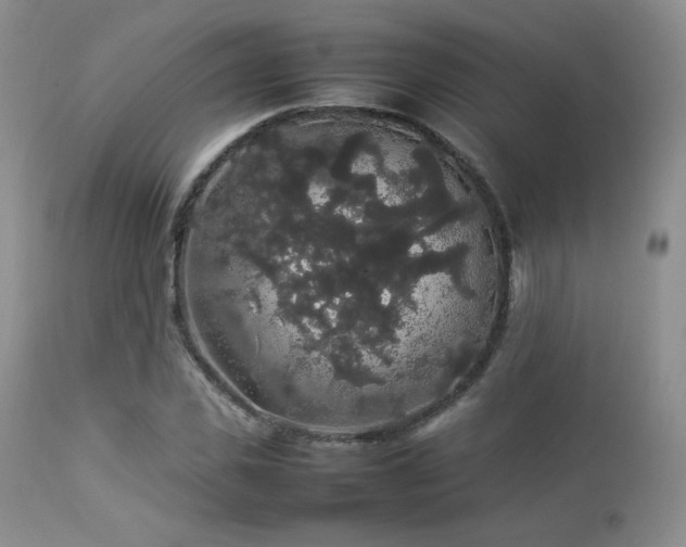 X0000112830925200908211213
