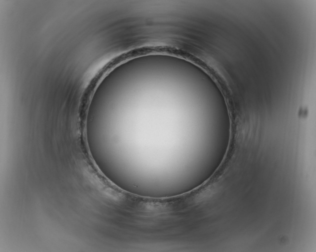 X0000112830927200908211213