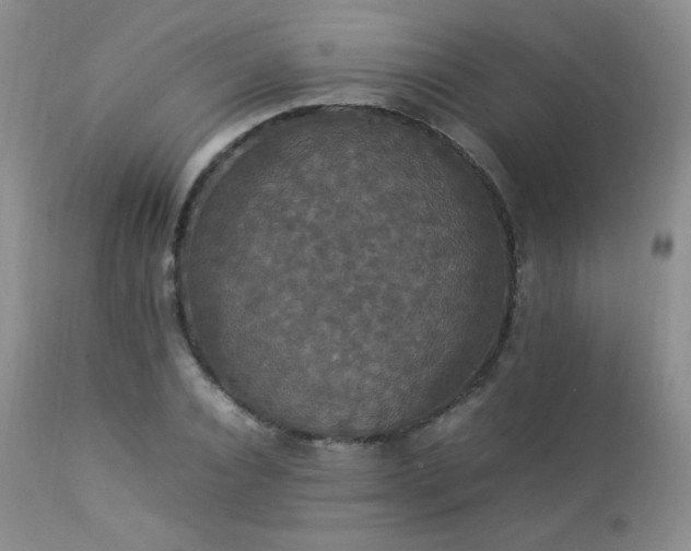 X0000112830928200908211213