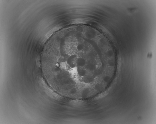 X0000112830929200908211213