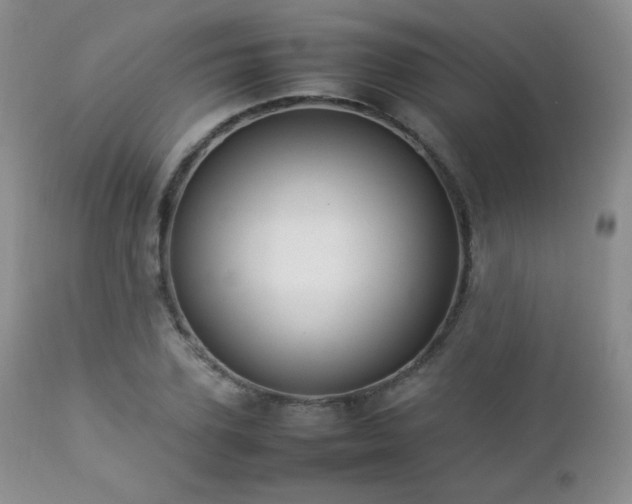 X0000112830931200908211213