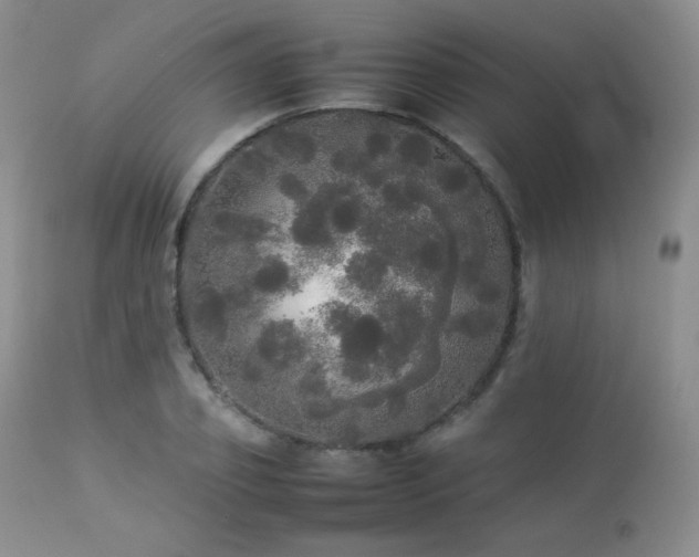 X0000112830933200908211213