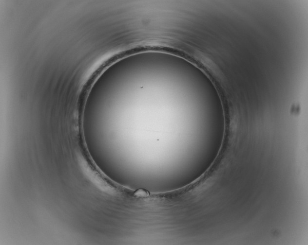 X0000112830934200908211213