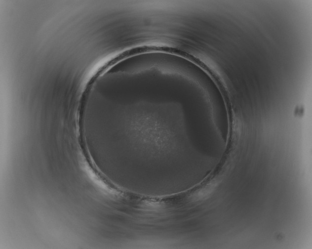 X0000112830935200908211213