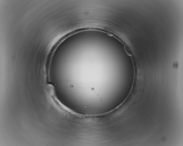 X0000112830936200908211213