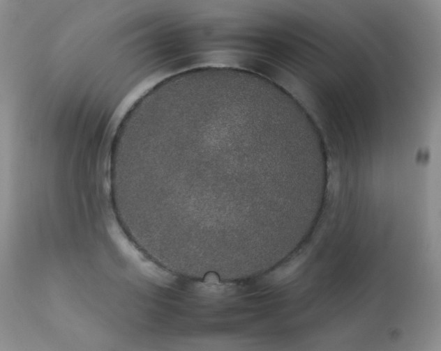 X0000112830939200908211213
