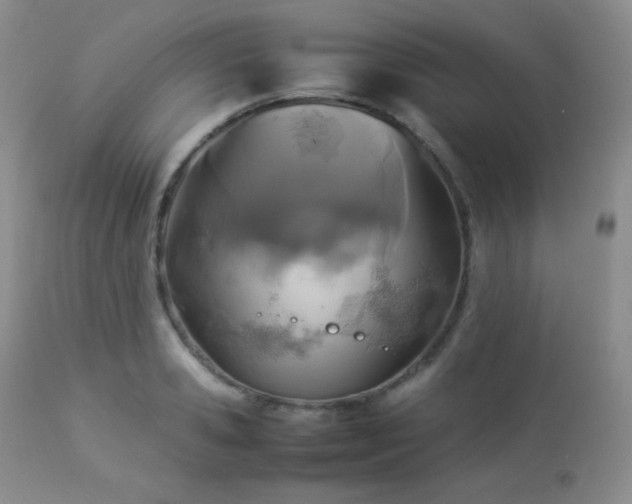 X0000112830941200908211213
