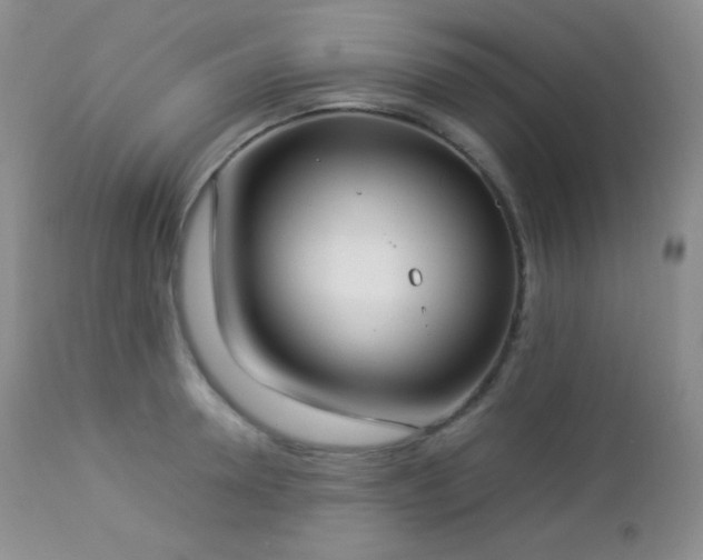 X0000112830946200908211213