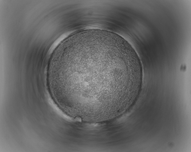 X0000112830949200908211213