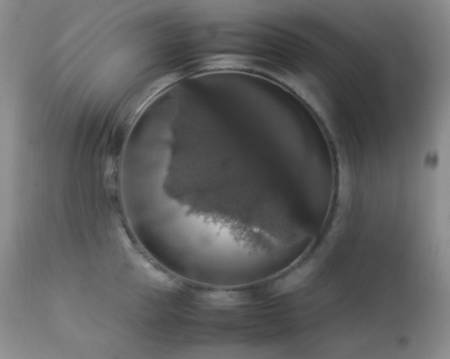 X0000112830953200908211213