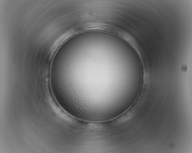 X0000112830954200908211213