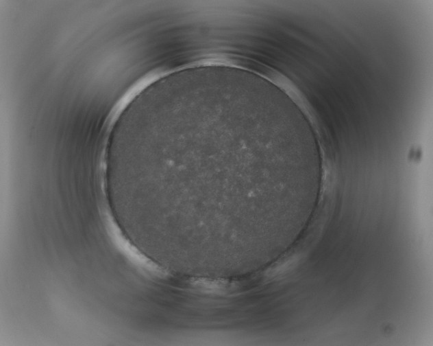 X0000112830955200908211213