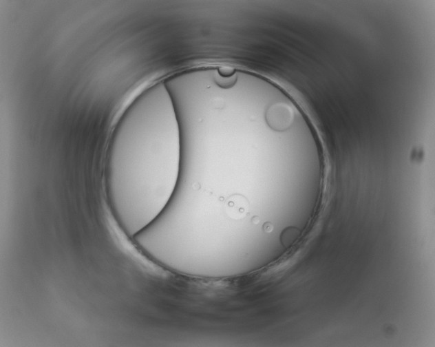 X0000112830957200908211213