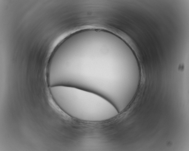 X0000112830958200908211213