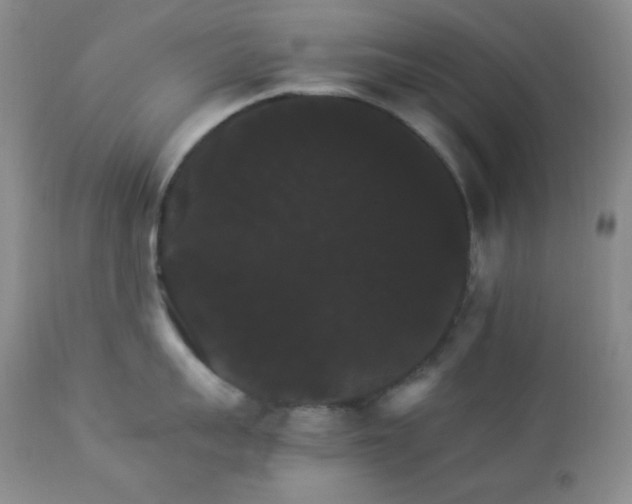 X0000112830959200908211213