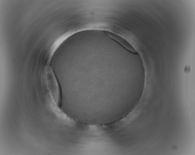 X0000112830960200908211213