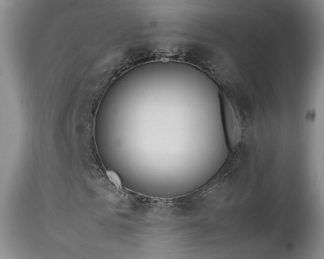 X0000112830961200908211213