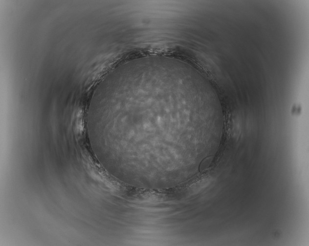 X0000112830962200908211213