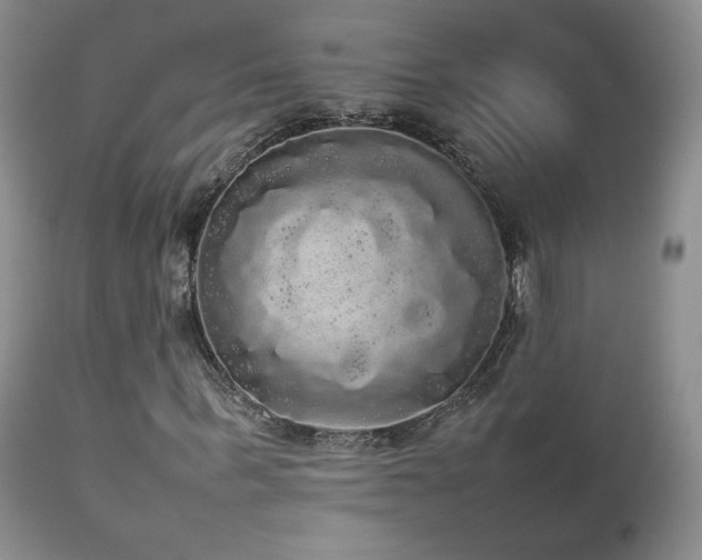 X0000112830963200908211213