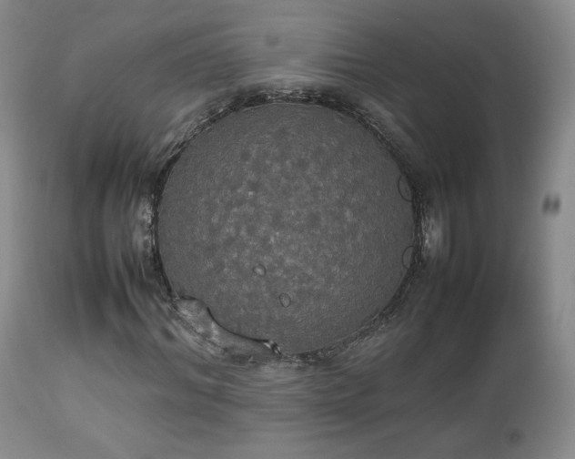 X0000112830964200908211213