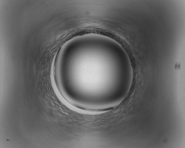 X0000112830965200908211213