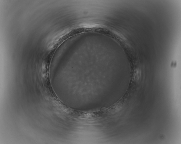 X0000112830966200908211213