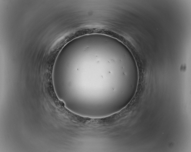 X0000112830967200908211213