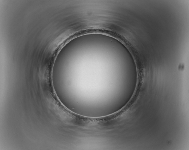 X0000112830969200908211213