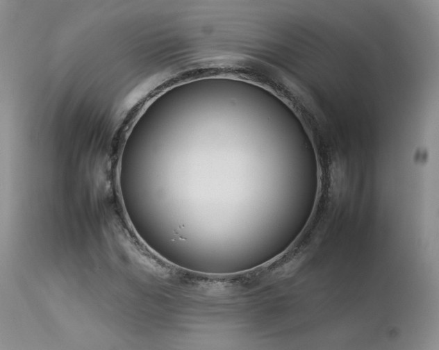 X0000112830970200908211213