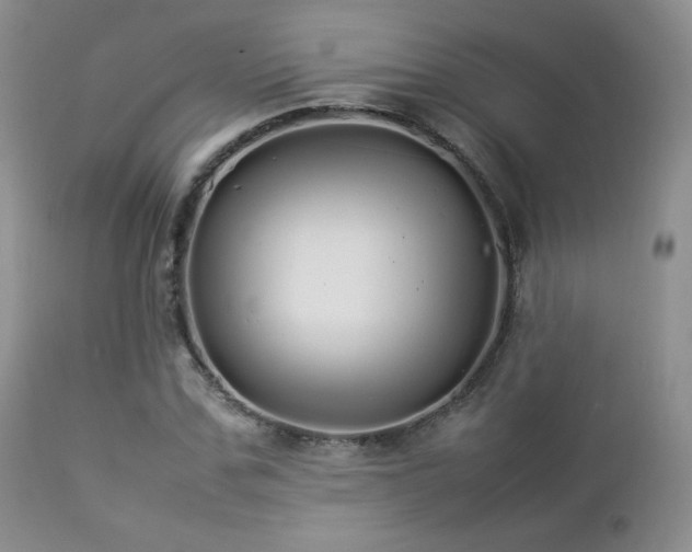 X0000112830971200908211213