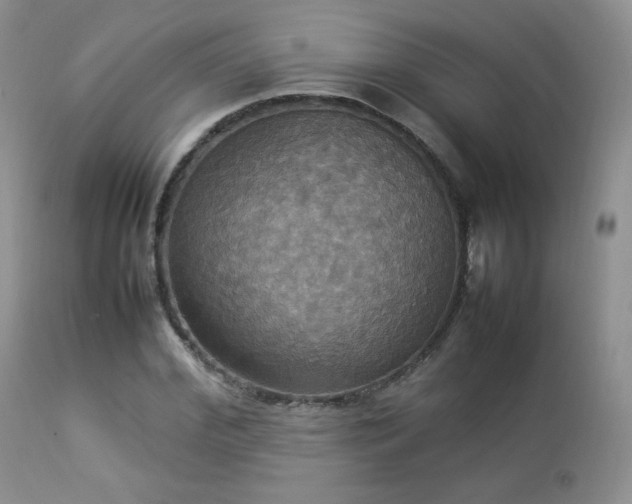 X0000112830972200908211213