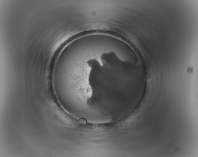 X0000112830975200908211212
