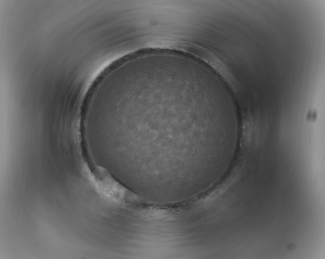 X0000112830976200908211212