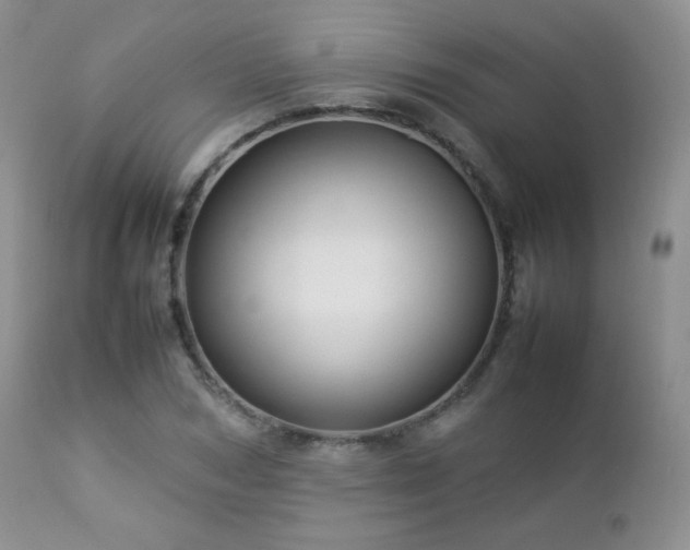 X0000112830978200908211212