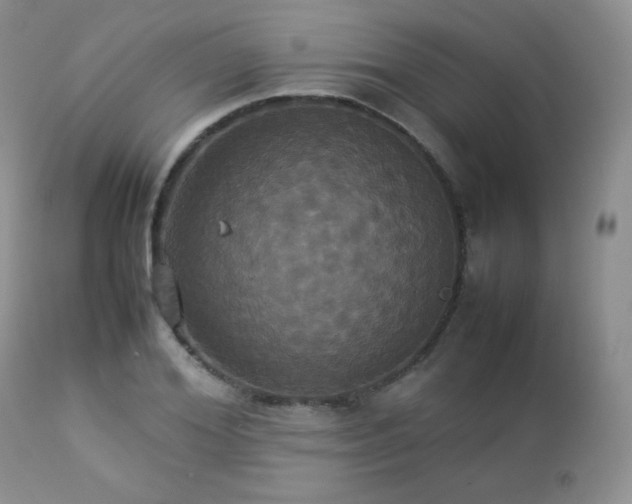 X0000112830980200908211212